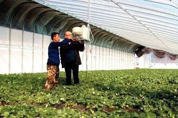 對不起，我跟著華為，辭職種地了！