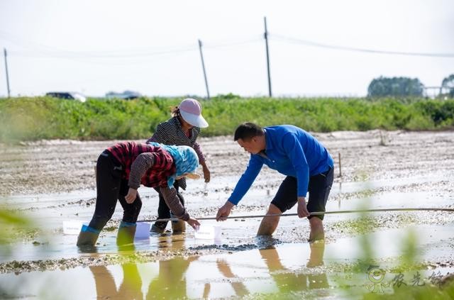 極飛農業(yè)無人機播種 VS 人工撒種