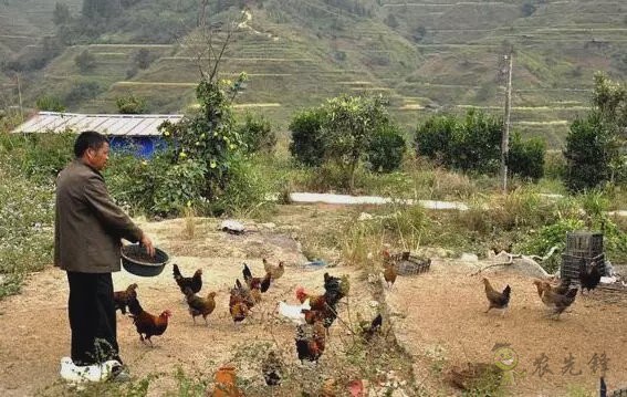 陳錫文:發(fā)展現(xiàn)代農(nóng)業(yè),意味著要消滅小農(nóng)戶嗎?