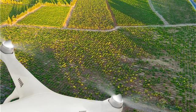 《2020-2024年全球智能農(nóng)業(yè)裝備行業(yè)深度市場(chǎng)調(diào)研及重點(diǎn)區(qū)域研究報(bào)告》