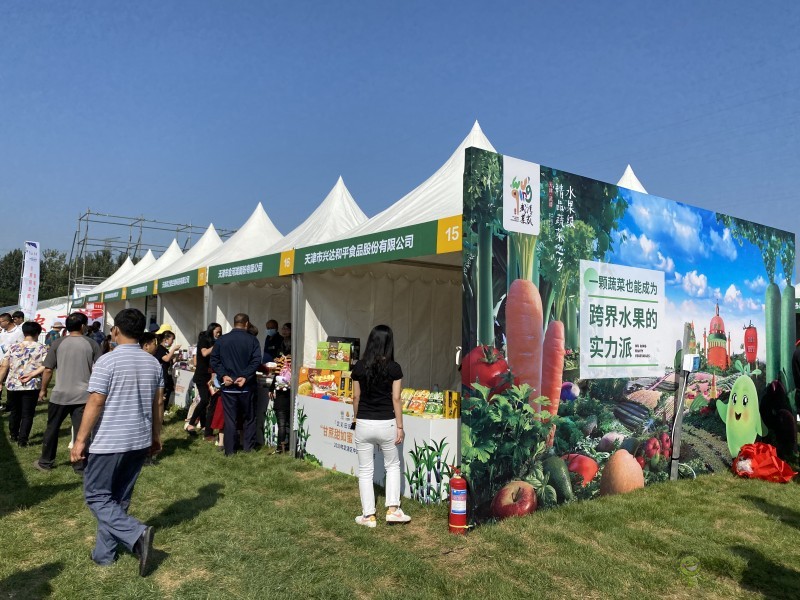 天津武清:都市型現代農業展現豐收新圖景