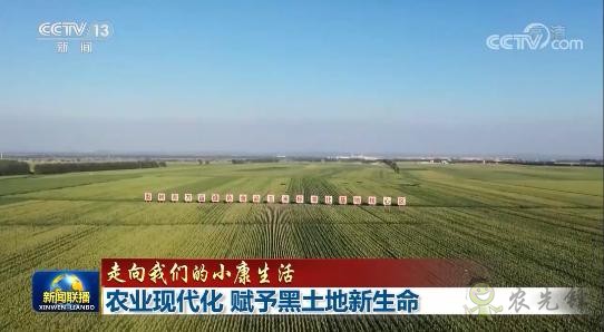 央視《新聞聯(lián)播》用2分51秒聚焦梨樹(shù)縣的現(xiàn)代農(nóng)業(yè)