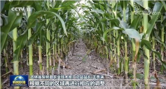 央視《新聞聯(lián)播》用2分51秒聚焦梨樹(shù)縣的現(xiàn)代農(nóng)業(yè)