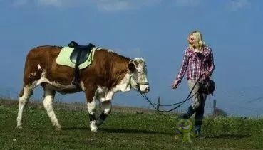 德國(guó)農(nóng)業(yè)