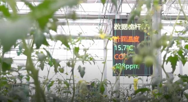 農(nóng)業(yè)機(jī)器人