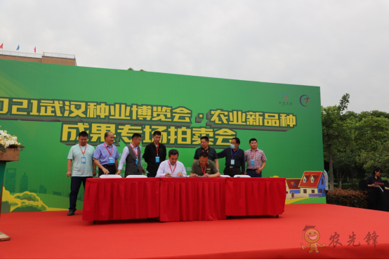 大豆新品種“中豆63”競拍出1500萬元高價(jià)