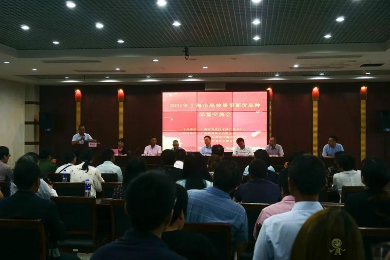 高效果菜新優品種品鑒交流會舉行,一批優質新品種有望走上市民餐桌