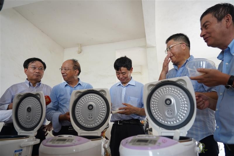 雙季早粳稻實(shí)現(xiàn)“零的突破” 可提前三個(gè)月吃上優(yōu)質(zhì)新米