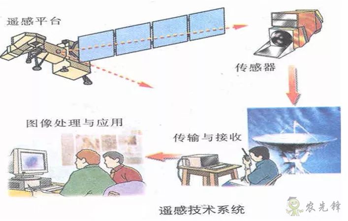 中國遙感衛星再添新成員 看TA在太空如何對農作物“稱斤計兩”?
