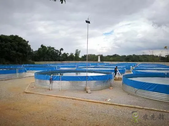 2021年農業農村部重大引領性技術發布!