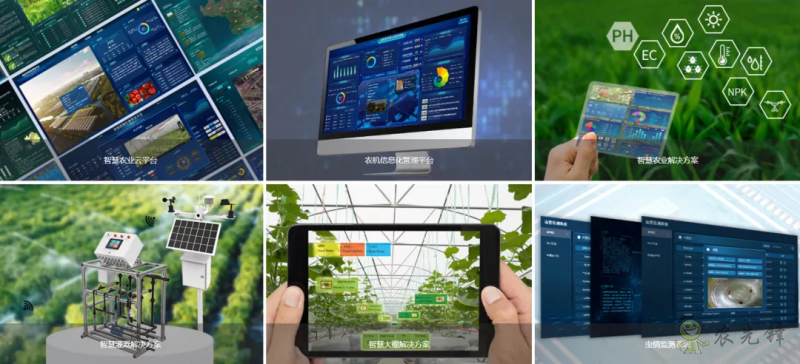 中國數字經濟規模全球第二，“農業數字革命”正在到來