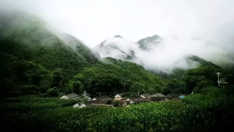 當(dāng)代中國農(nóng)業(yè)轉(zhuǎn)型技術(shù)選擇之爭:化學(xué)化？轉(zhuǎn)基因？