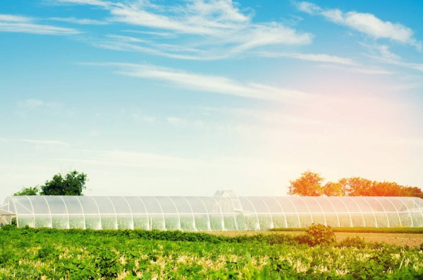 中國未來農(nóng)業(yè)發(fā)展前景分析：五大趨勢(shì)蘊(yùn)含無限潛力