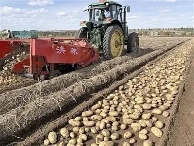 農(nóng)機(jī)“青島勢力”崛起