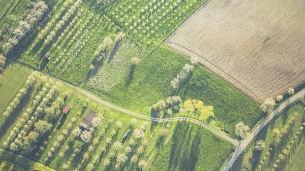 產業變革:農業的新挑戰