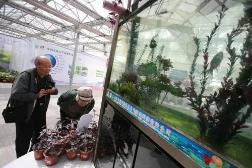 做農(nóng)業(yè)，這幾種高效生態(tài)農(nóng)業(yè)模式你必須知道