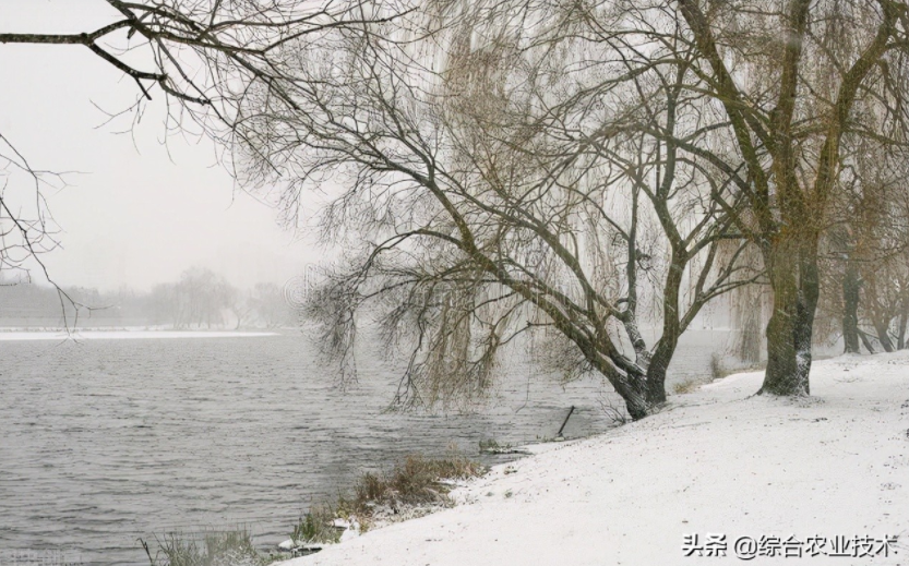 玉米地病蟲害越來越重，冬季閑了有辦法預(yù)防病蟲害嗎？