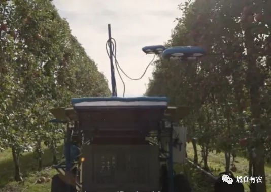 會(huì)摘蘋果的飛行機(jī)器人,從概念圖到商業(yè)化Tevel只用了4年