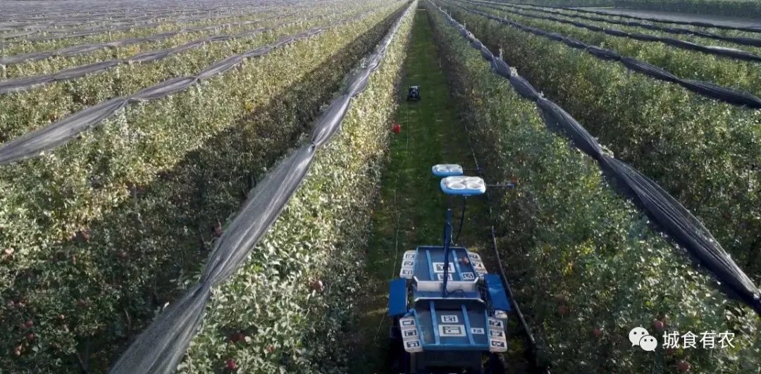 會(huì)摘蘋果的飛行機(jī)器人,從概念圖到商業(yè)化Tevel只用了4年