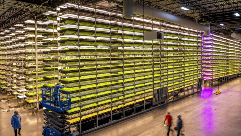 垂直農(nóng)業(yè),一個(gè)可持續(xù)的未來?