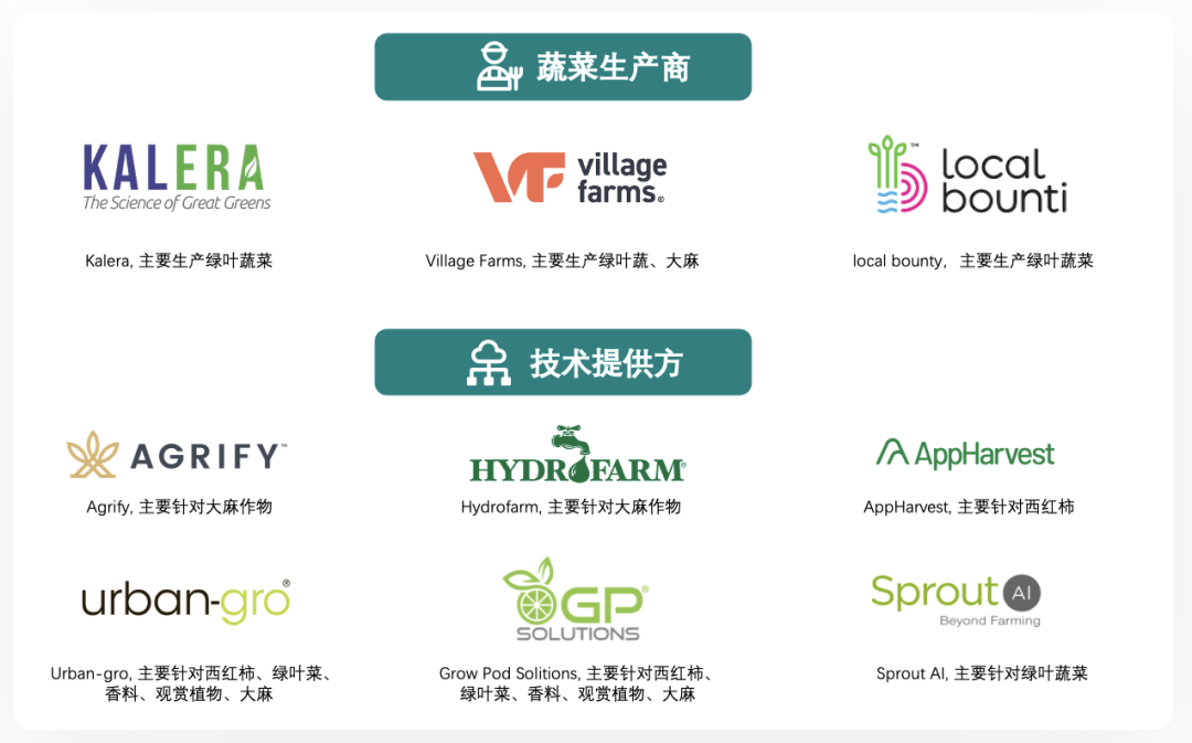 垂直農(nóng)業(yè),一個(gè)可持續(xù)的未來?