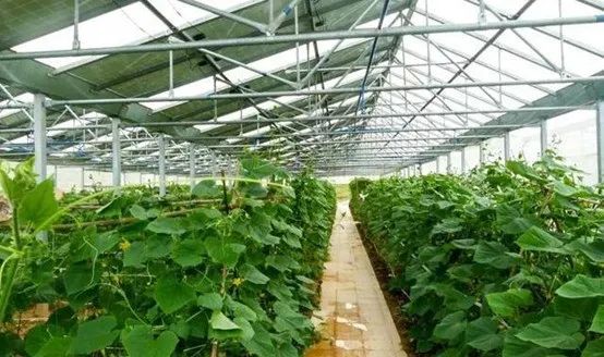 光伏農(nóng)業(yè)：政策利好，鄉(xiāng)村振興加速器，但商業(yè)模式有待升級(jí)