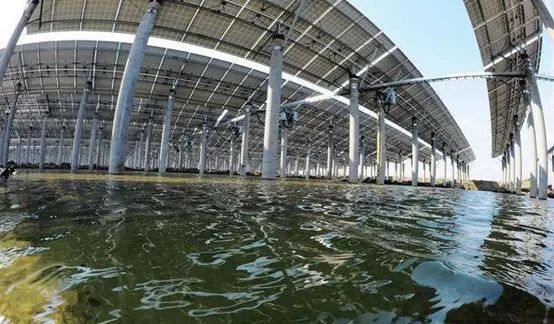 光伏農(nóng)業(yè)：政策利好，鄉(xiāng)村振興加速器，但商業(yè)模式有待升級(jí)