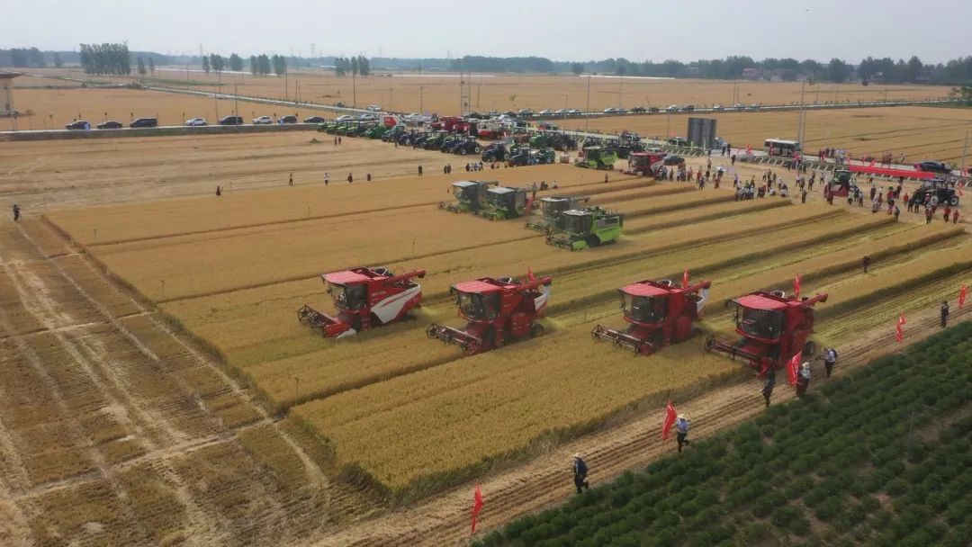 今年中央農(nóng)機購置補貼資金212億 今年中央農(nóng)機購置補貼資金212億