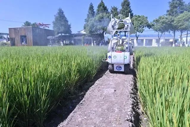 上海獎補無人農場建設 上海獎補無人農場建設