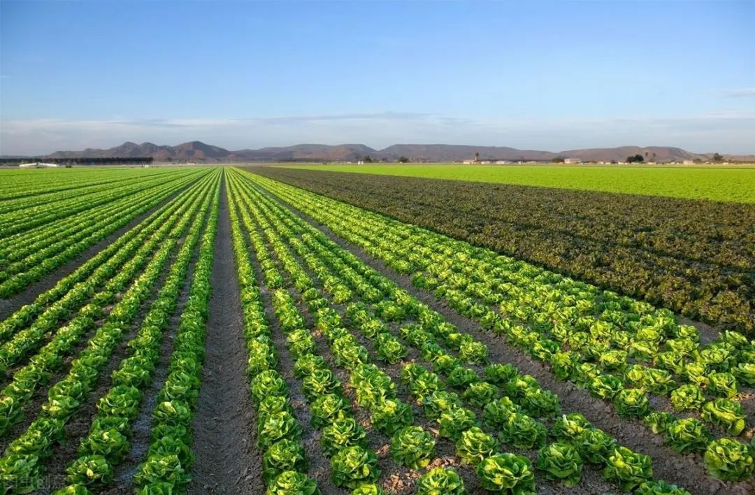 11大領(lǐng)域20多家智慧農(nóng)業(yè)平臺類型和發(fā)展模式