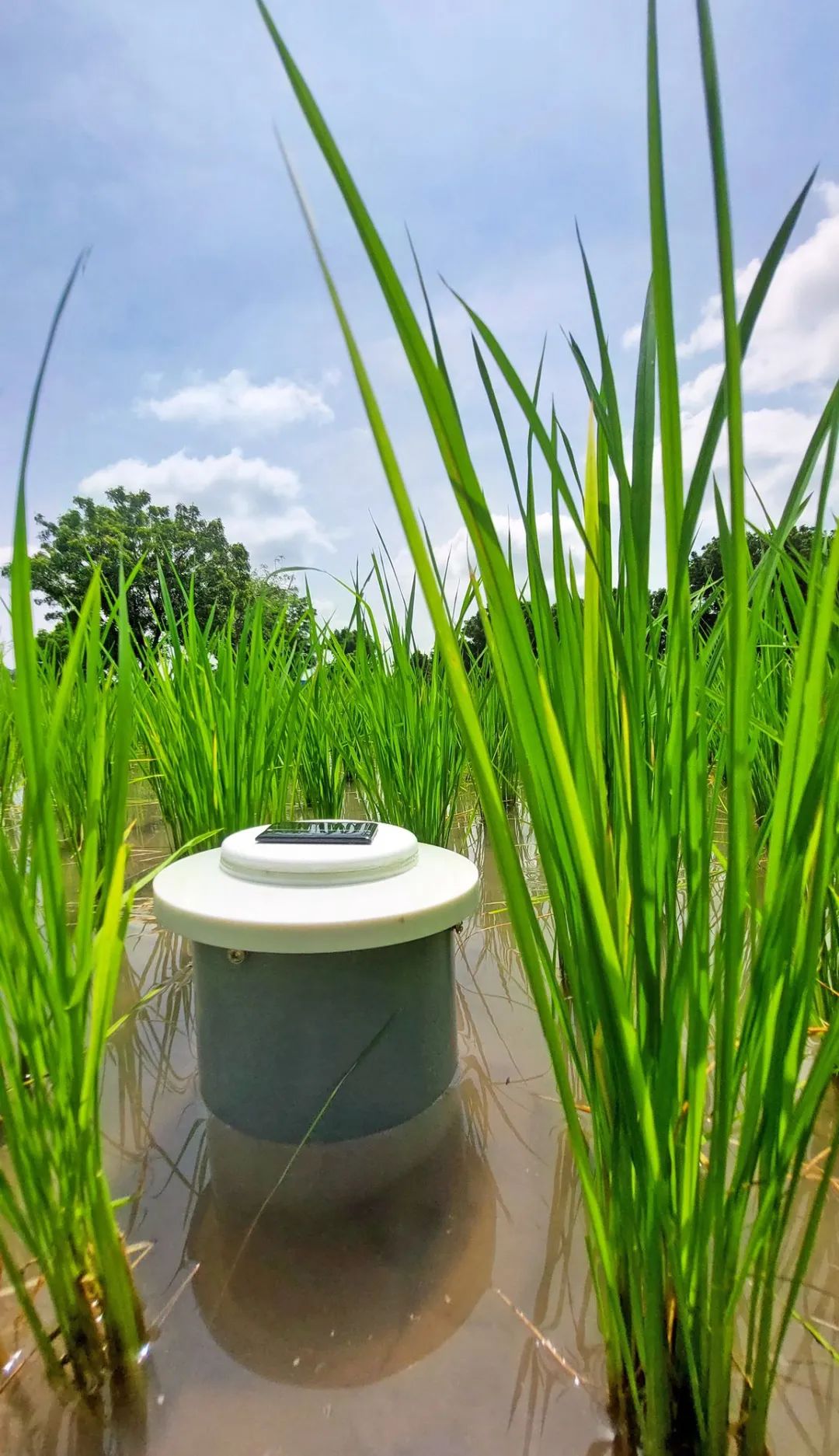 EIMA 2022技術(shù)創(chuàng)新獎(jiǎng)釋出，自主性和環(huán)境友好產(chǎn)品受青睞