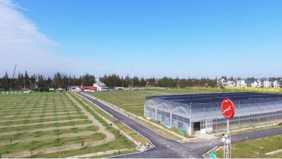 王金悅:機器人農場繪就智慧農業新圖景 王金悅:機器人農場繪就智慧農業新圖景