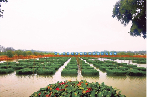 仙桃:一個(gè)百億級(jí)黃鱔產(chǎn)業(yè)鏈正在形成 仙桃:一個(gè)百億級(jí)黃鱔產(chǎn)業(yè)鏈正在形成