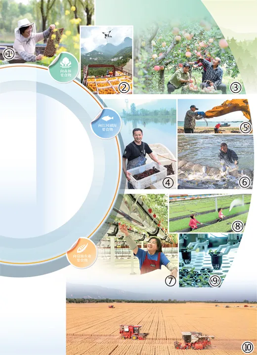 向新 向綠!我國農(nóng)業(yè)綠色發(fā)展水平穩(wěn)步提升 向新 向綠!我國農(nóng)業(yè)綠色發(fā)展水平穩(wěn)步提升